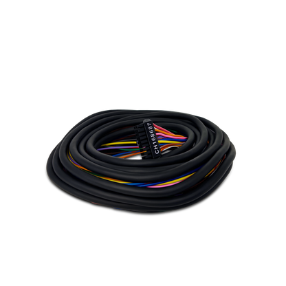 Chicote EFI- Padrão 18 e 20 Vias